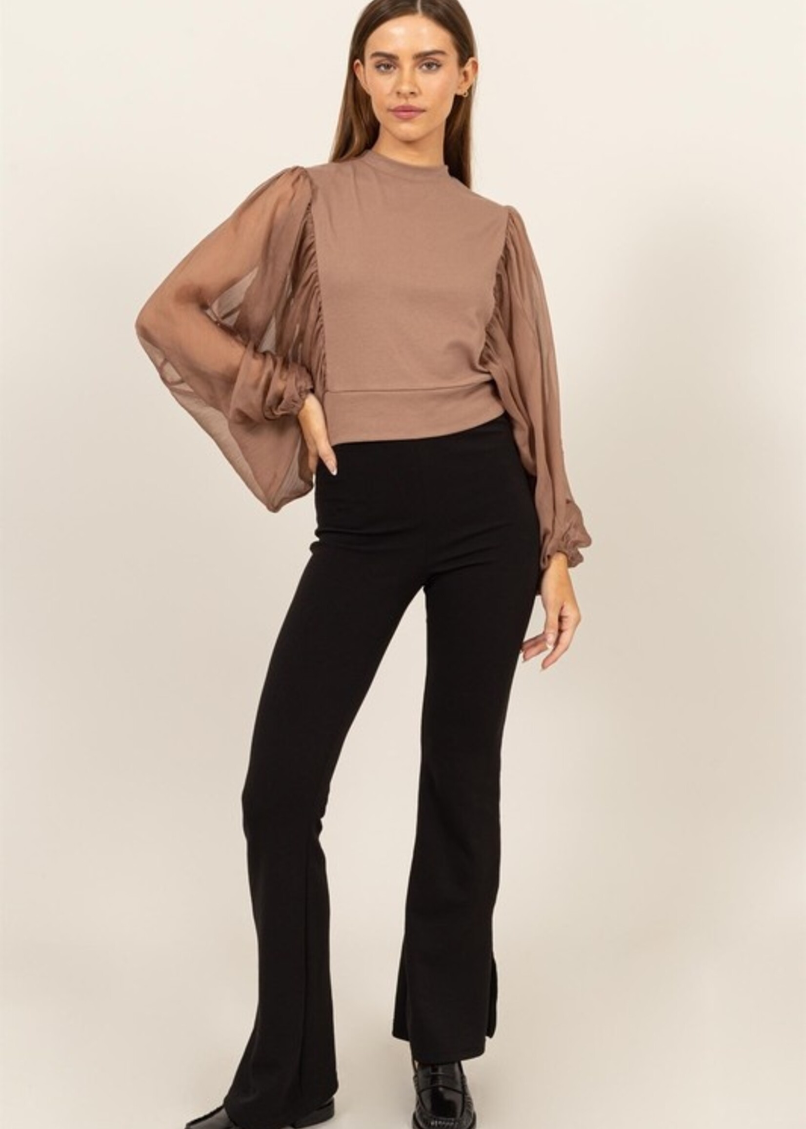 Sheer sleeve mock neck +2 colors