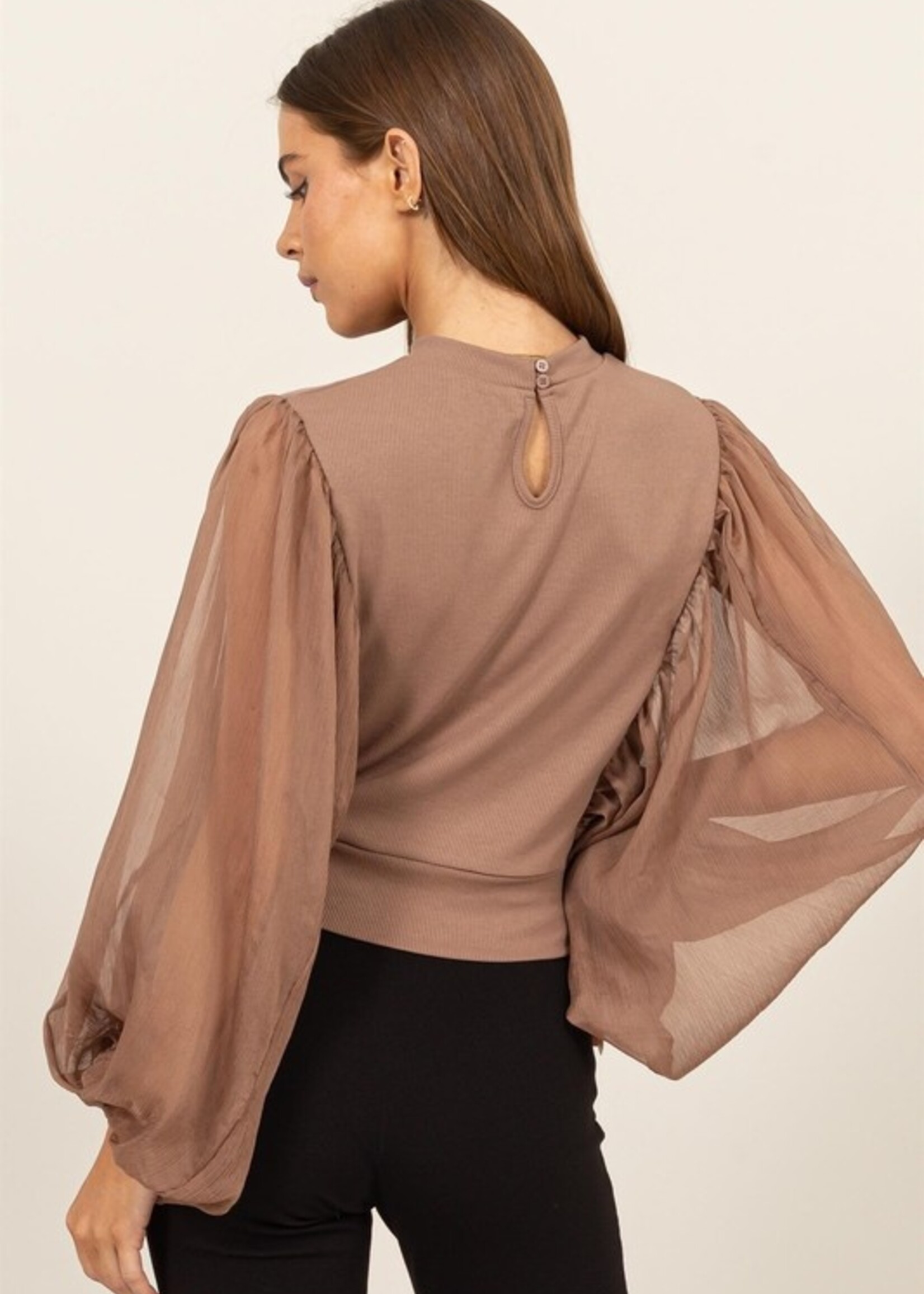 Sheer sleeve mock neck +2 colors