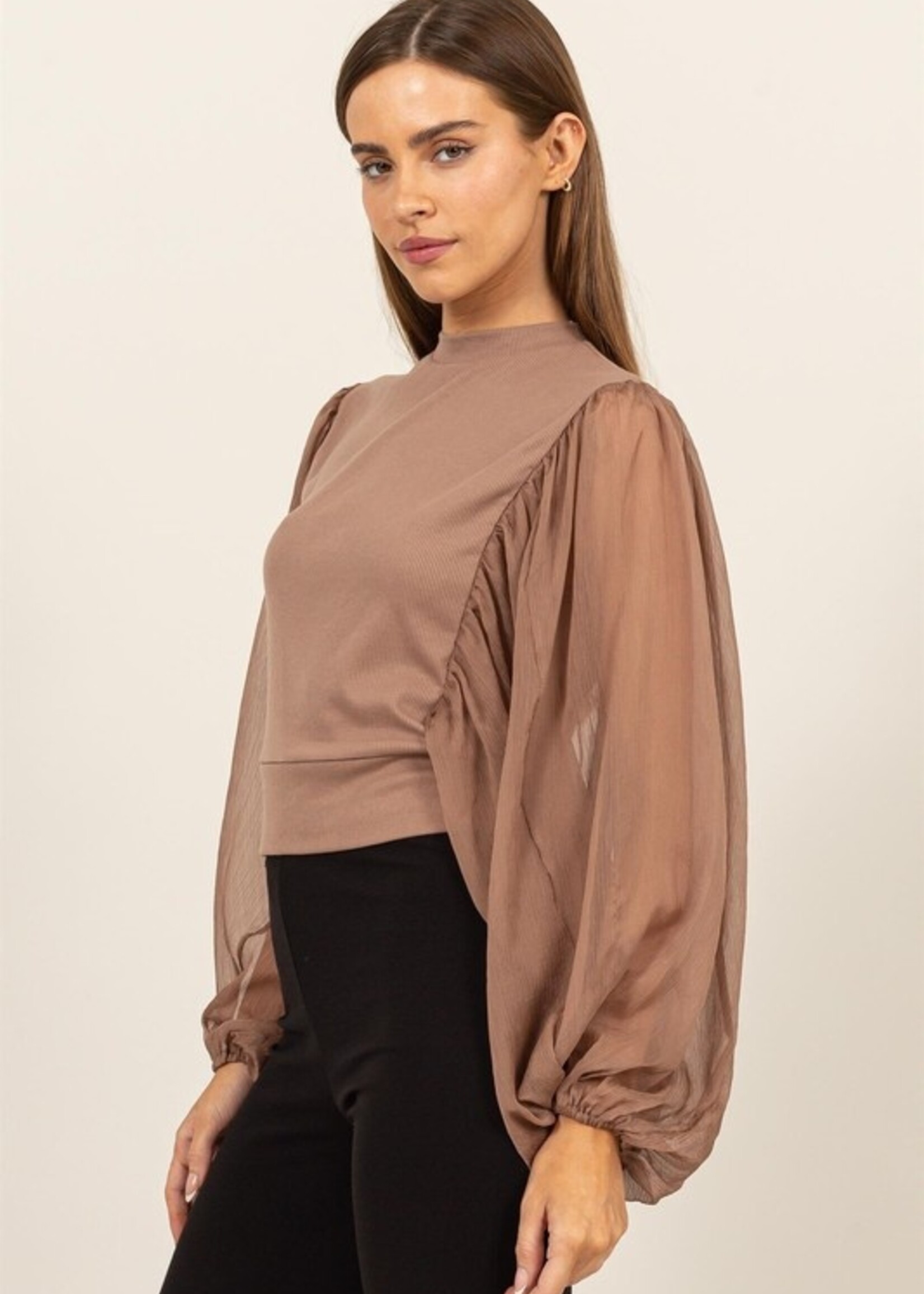 Sheer sleeve mock neck +2 colors