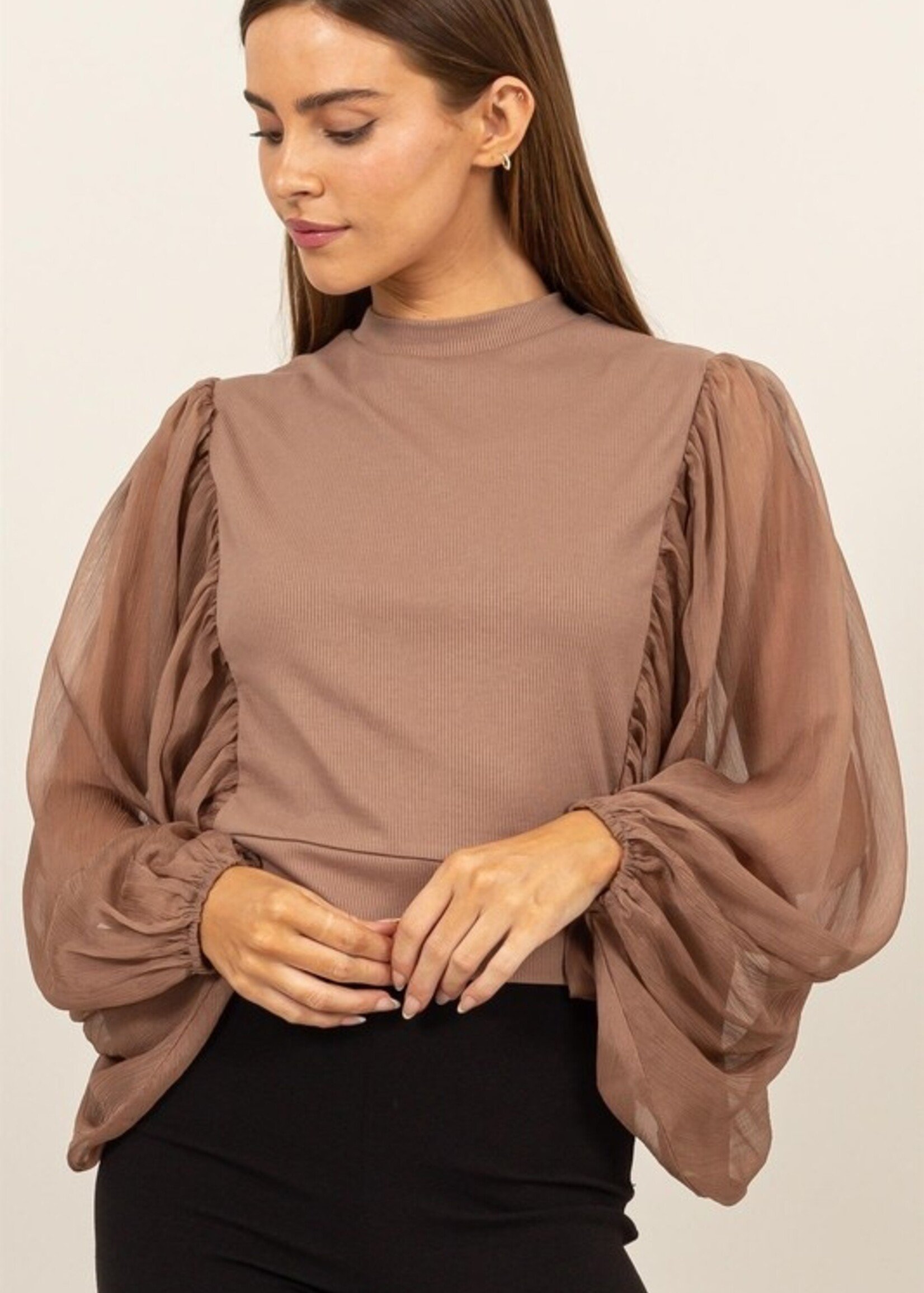 Sheer sleeve mock neck +2 colors