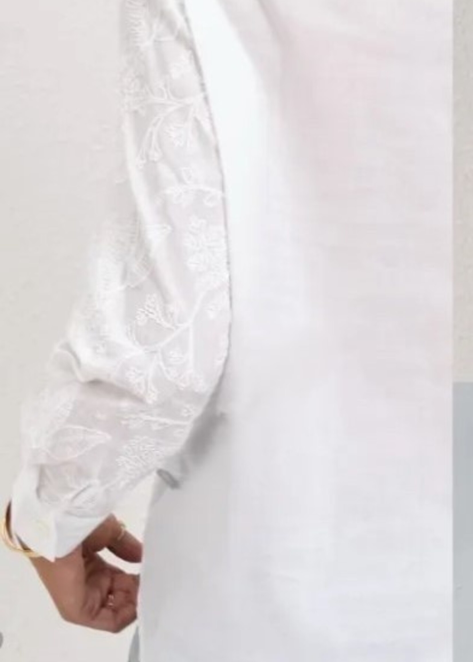 Embroidered button down