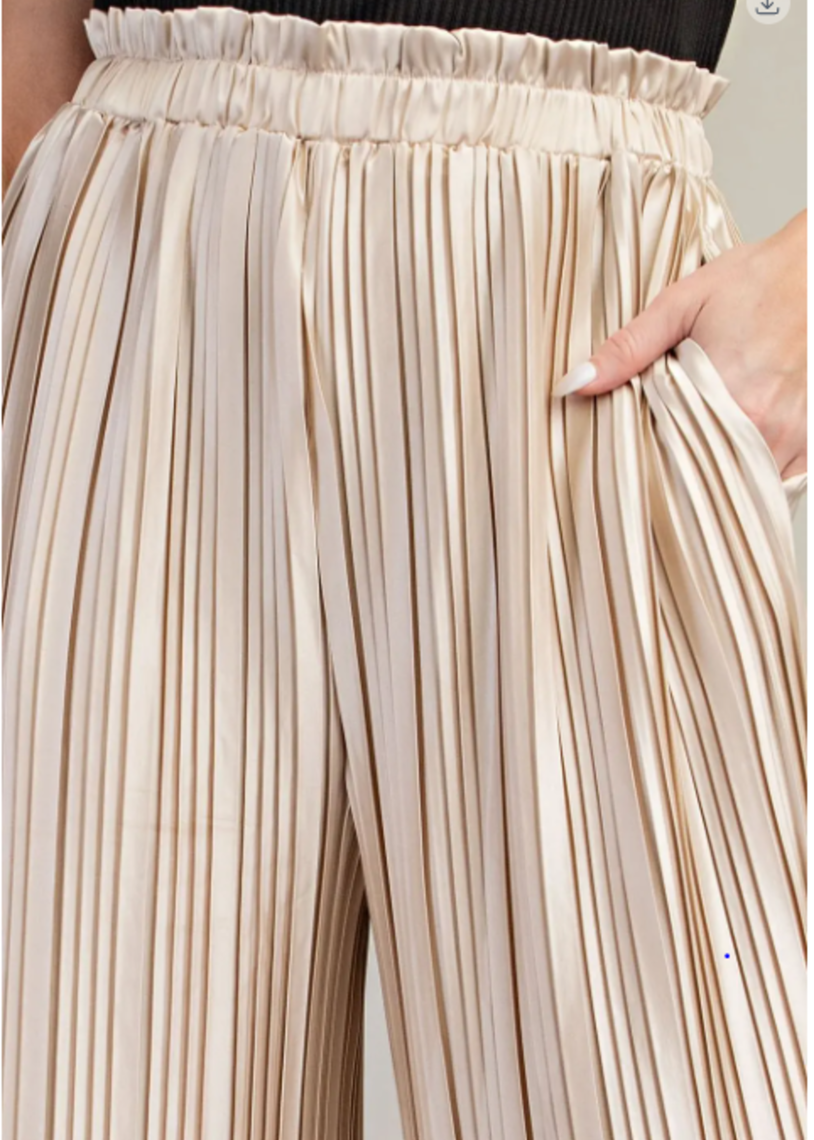 Pleated pants
