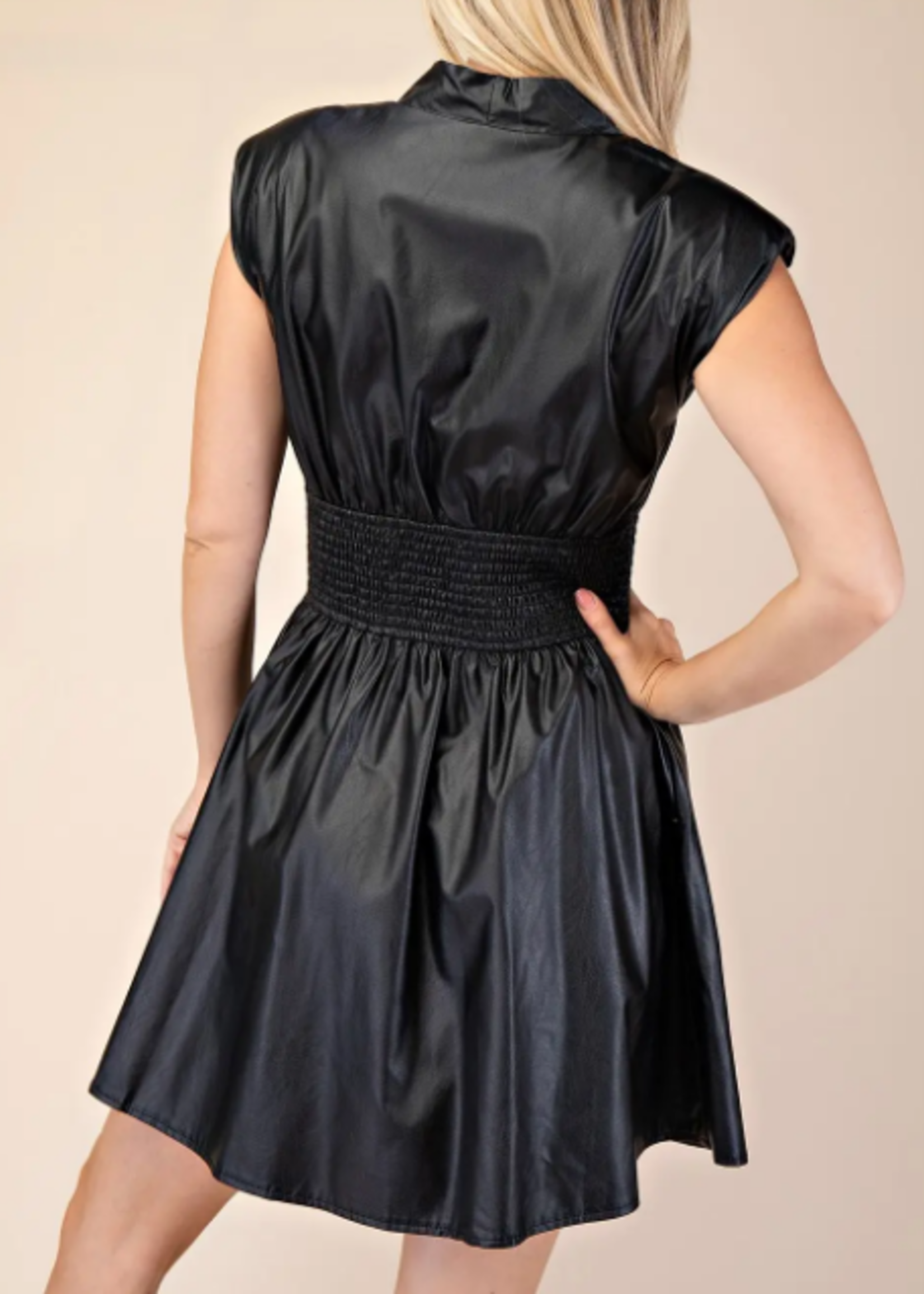 Leather zip up dress +2 colors