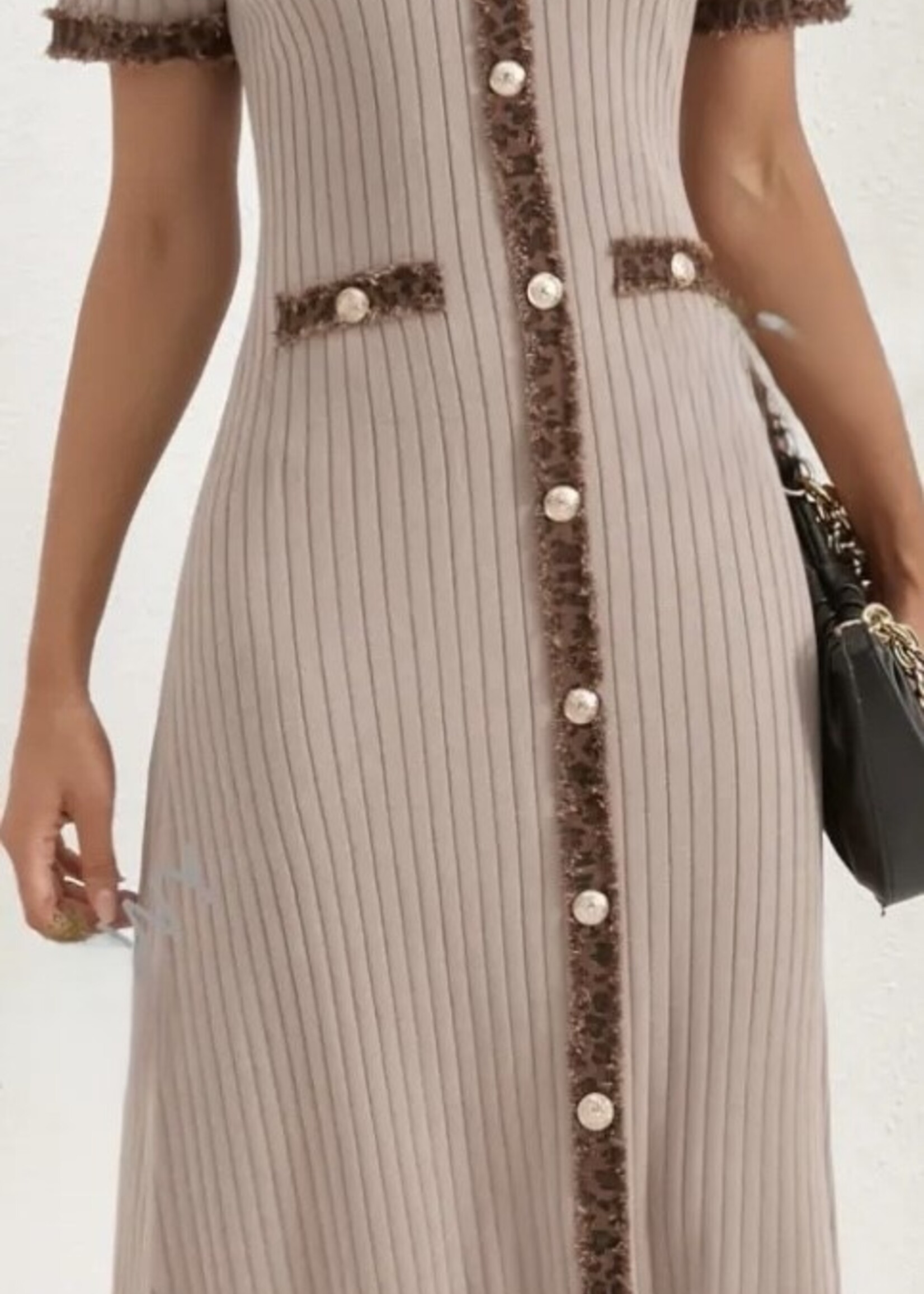 Leopard trim dress +2 colors