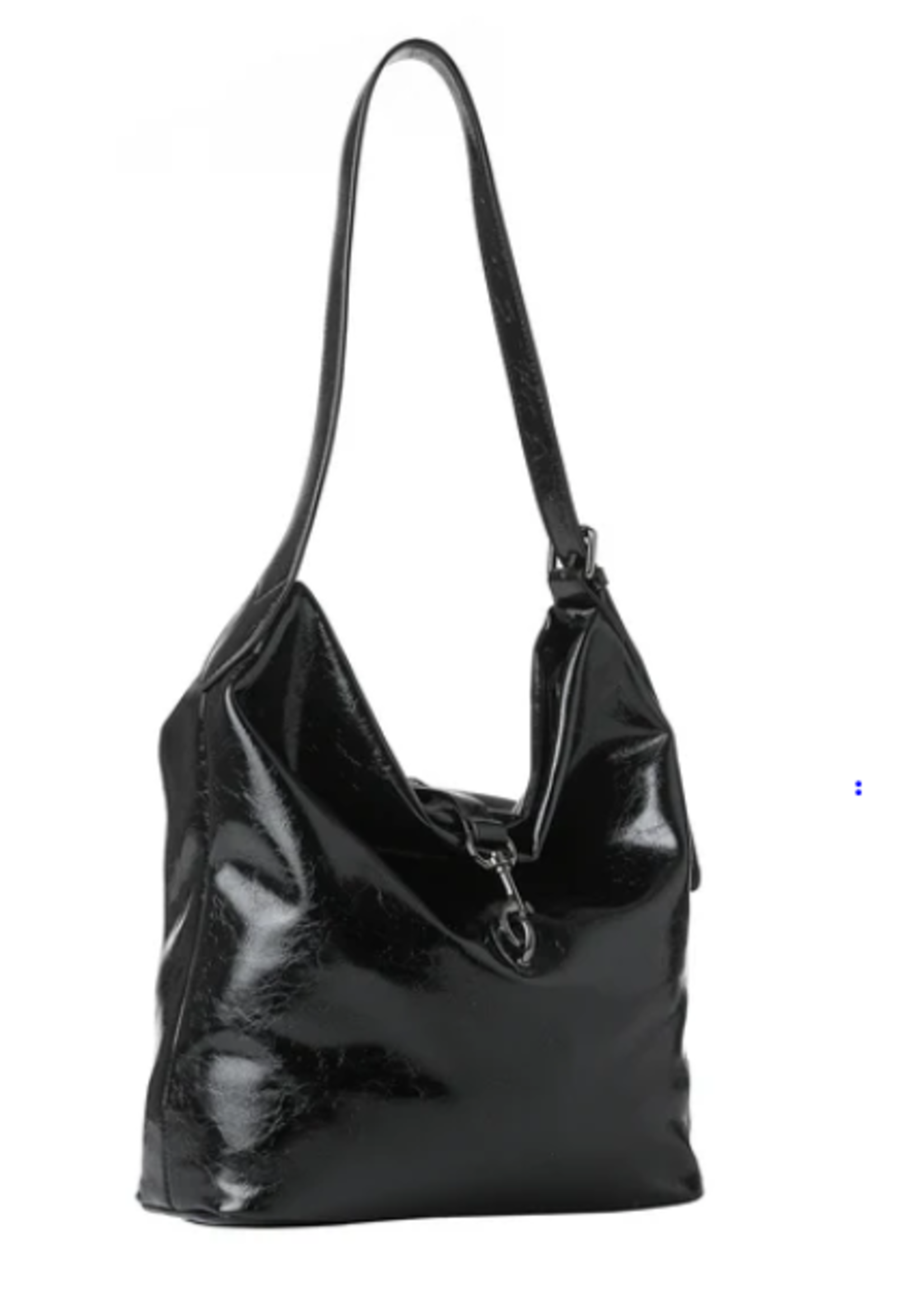 Shiny bag