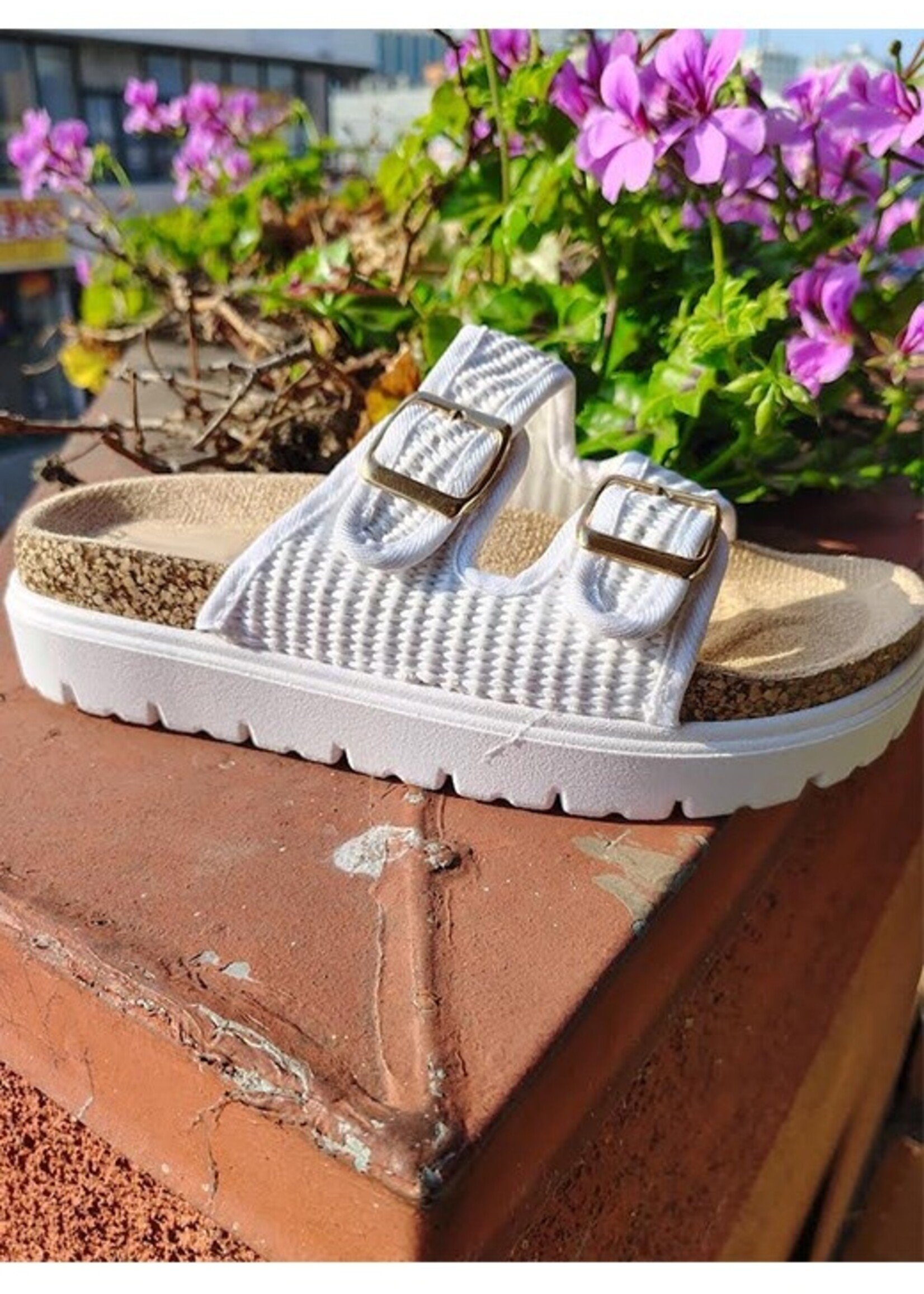 Double buckle slide +2 colors