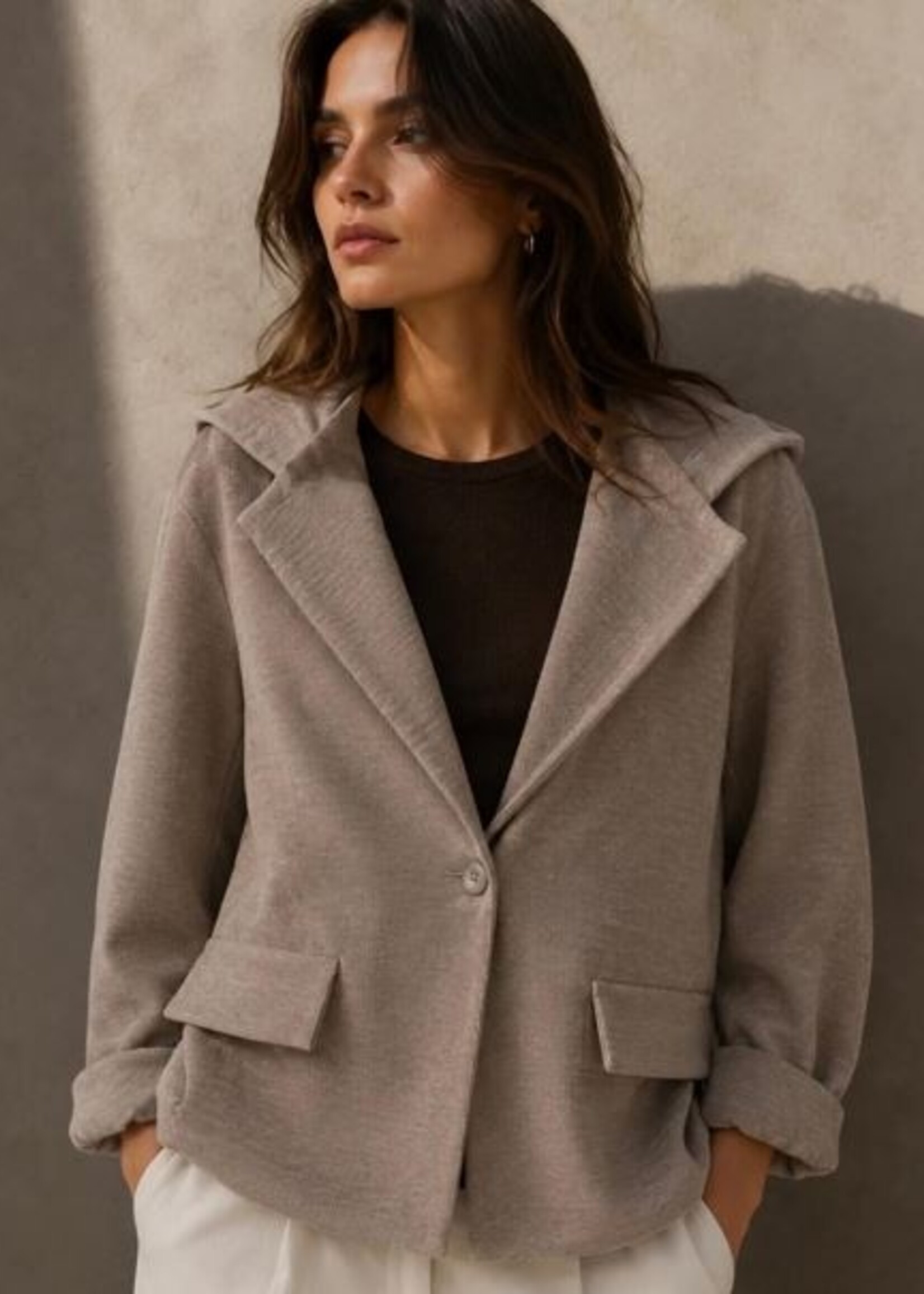 Hooded blazer +3 colors