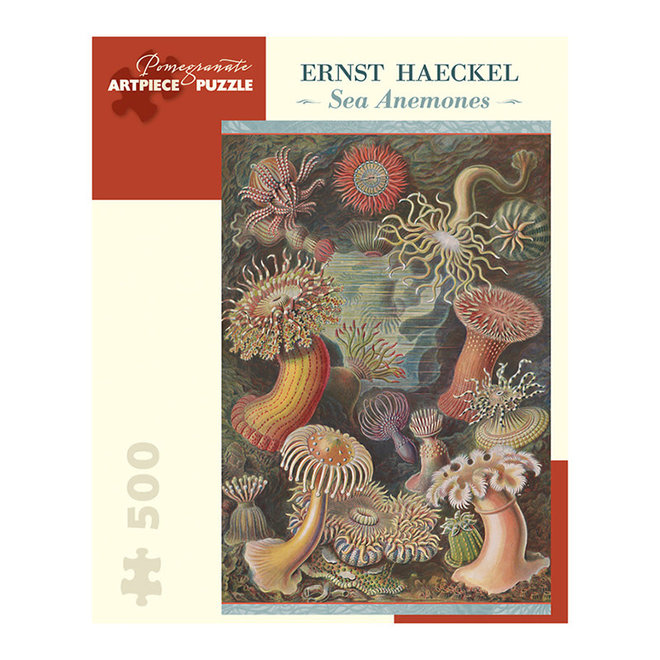 Ernst Haeckel: Sea Anemones - 500 pcs