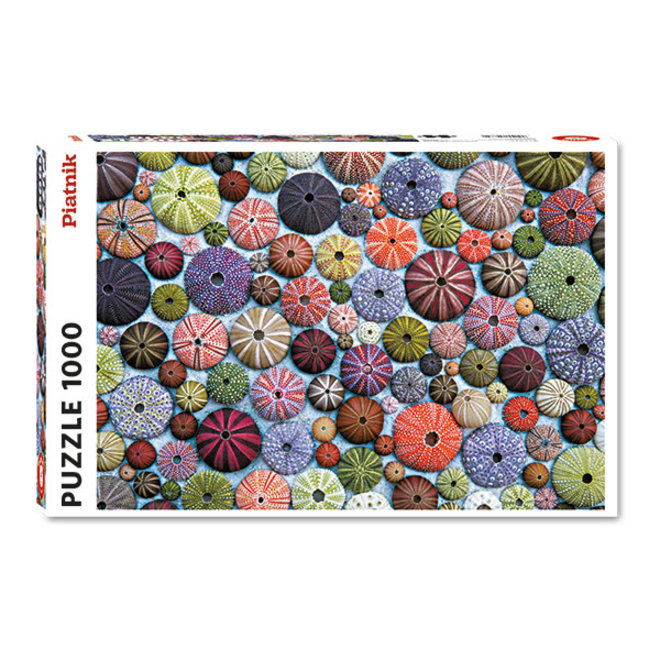 Sea Urchins - 1000 pcs