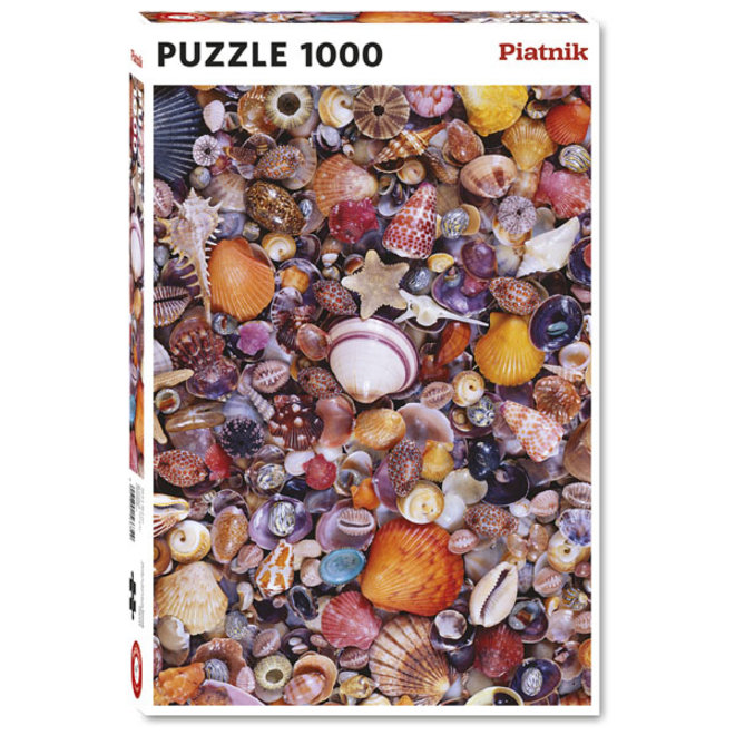 Seashells - 1000 pcs