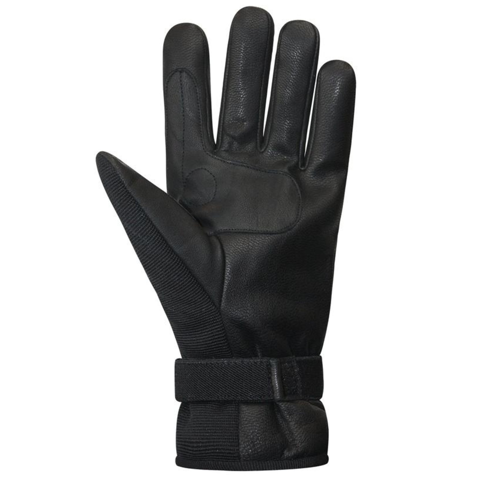 Auclair Auclair Lillehammer Glove Men's