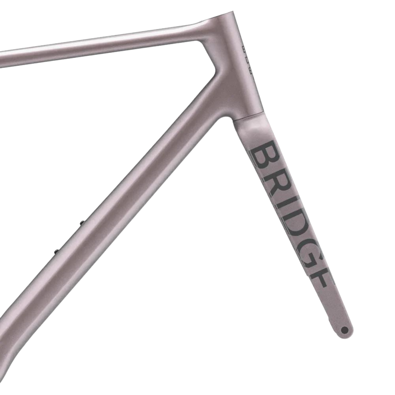 Bridge Bike Works 2024 Bridge Surveyor Carbon Frameset