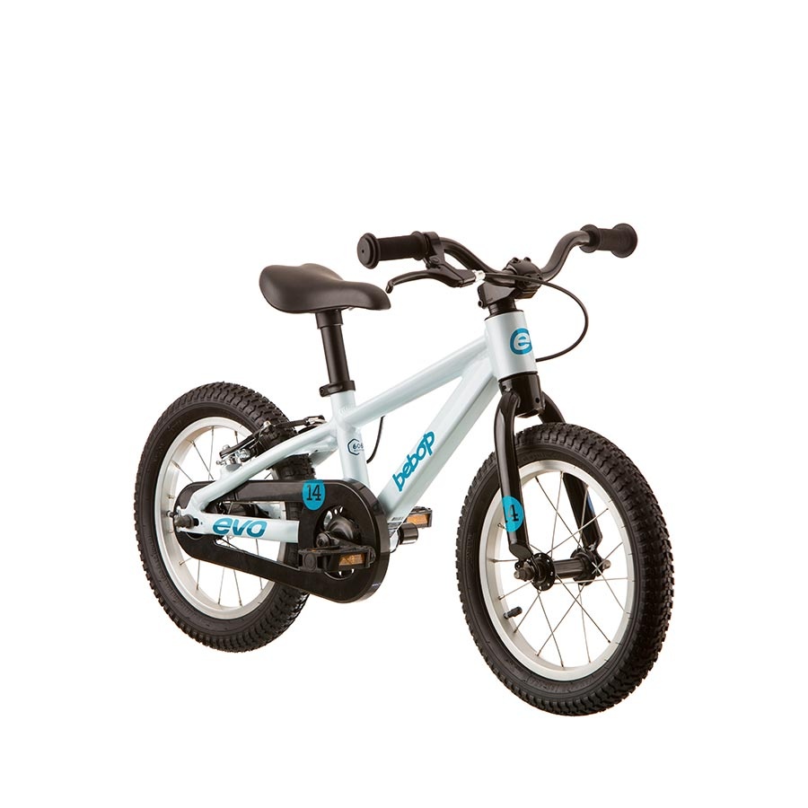 Blue bike for 4 year old hot sale