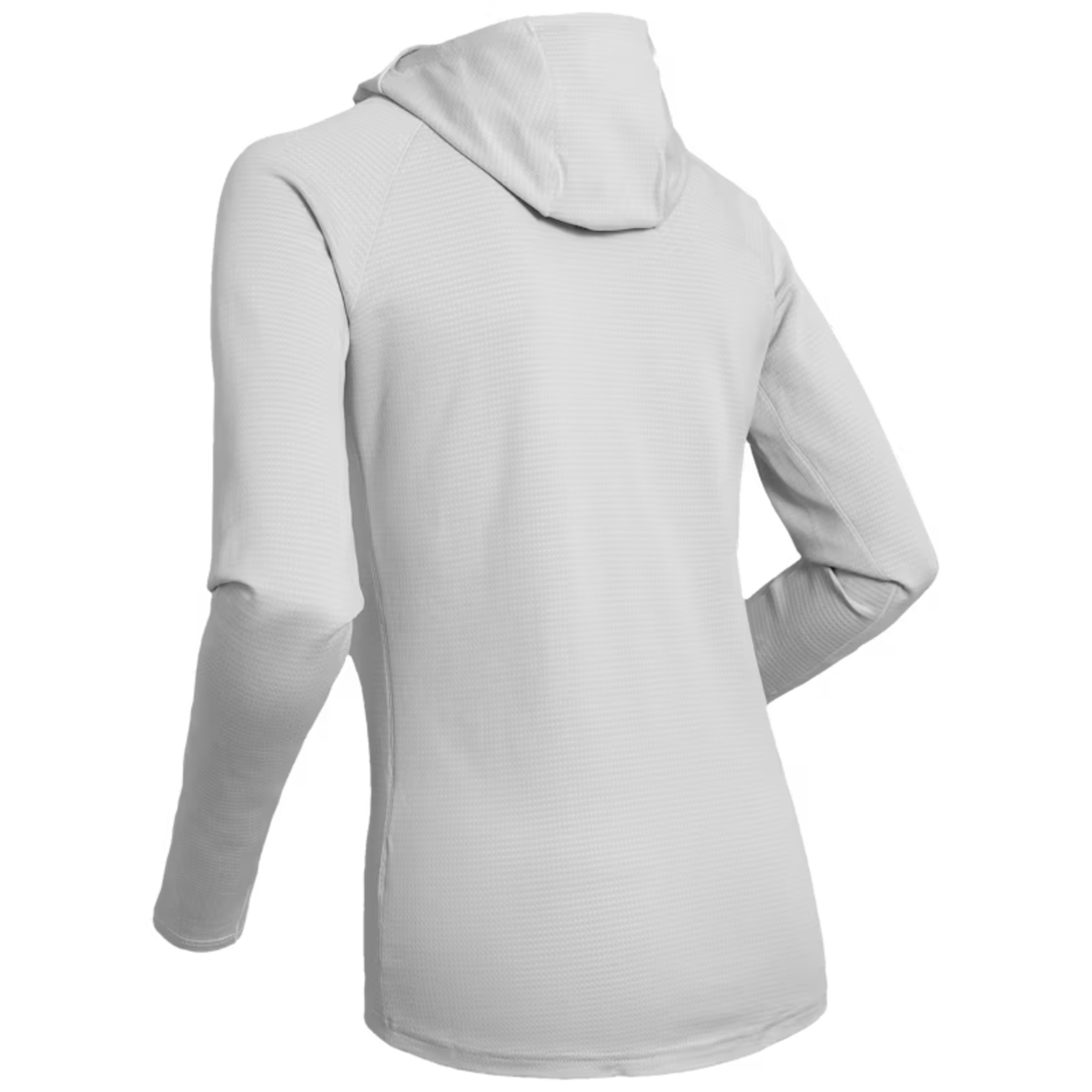 Bjorn Daehlie Daehlie Run 365 Long Sleeve Hoodie