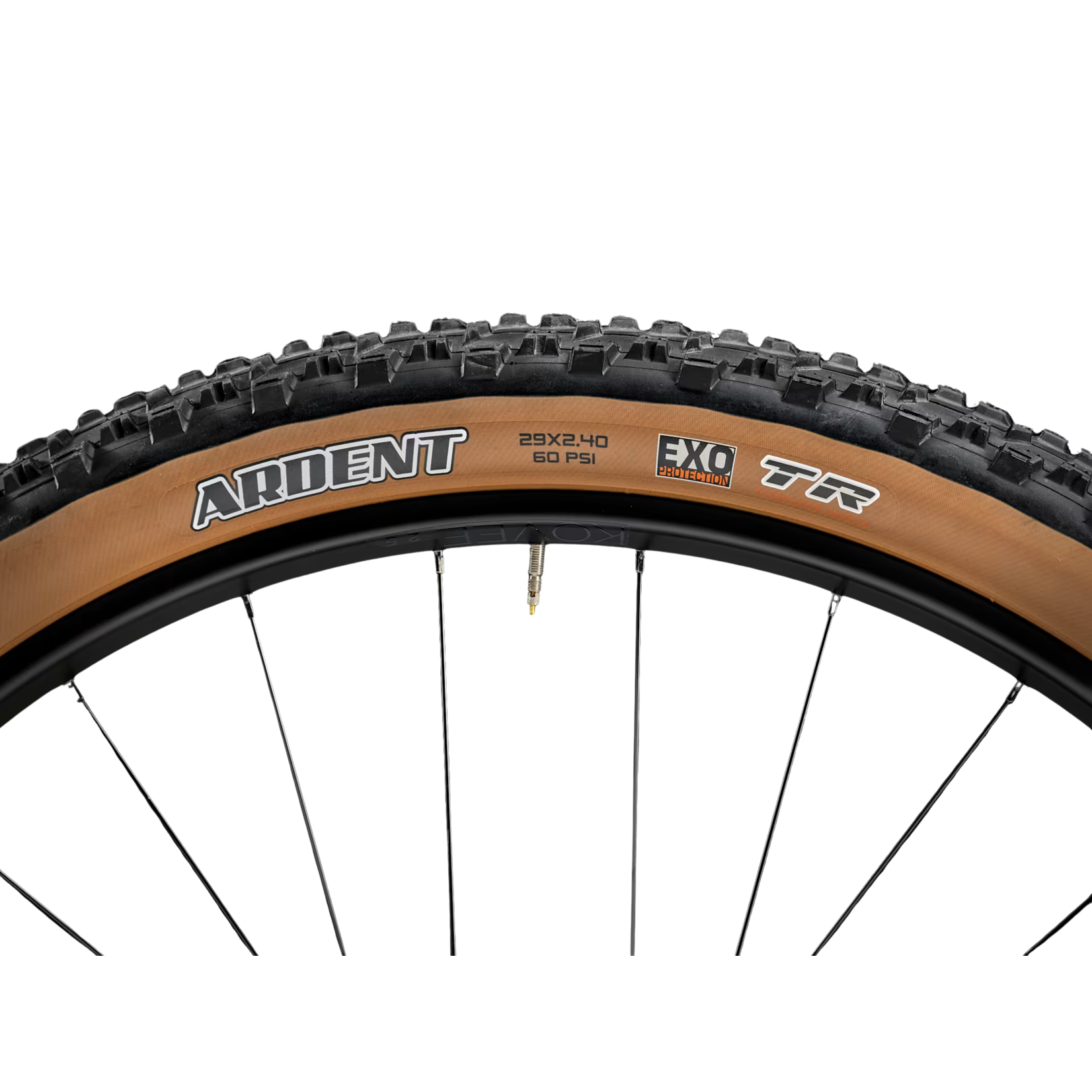 Trek 2025 Trek Marlin 7 Gen 3