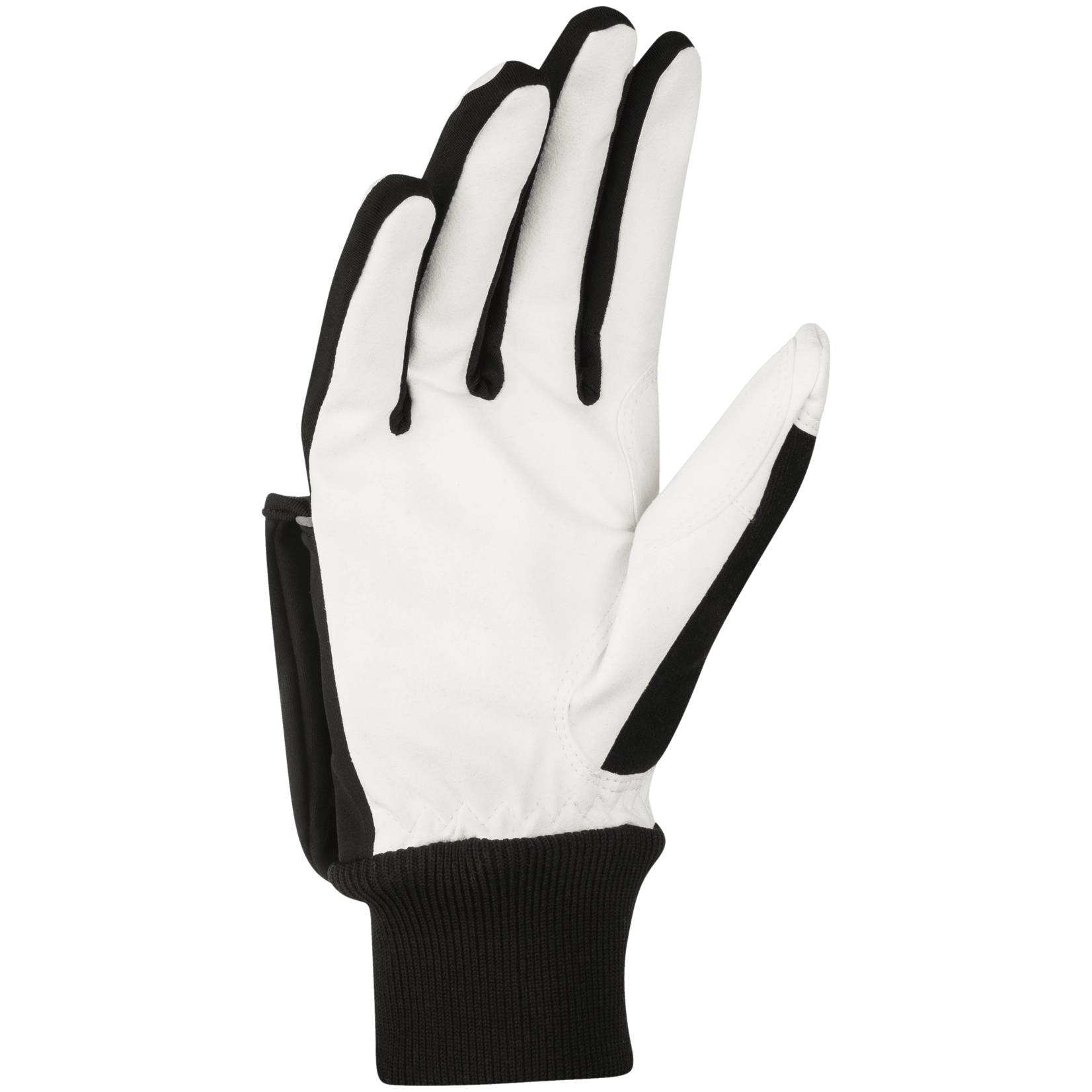 Bjorn Daehlie Daehlie Race Coverage Glove