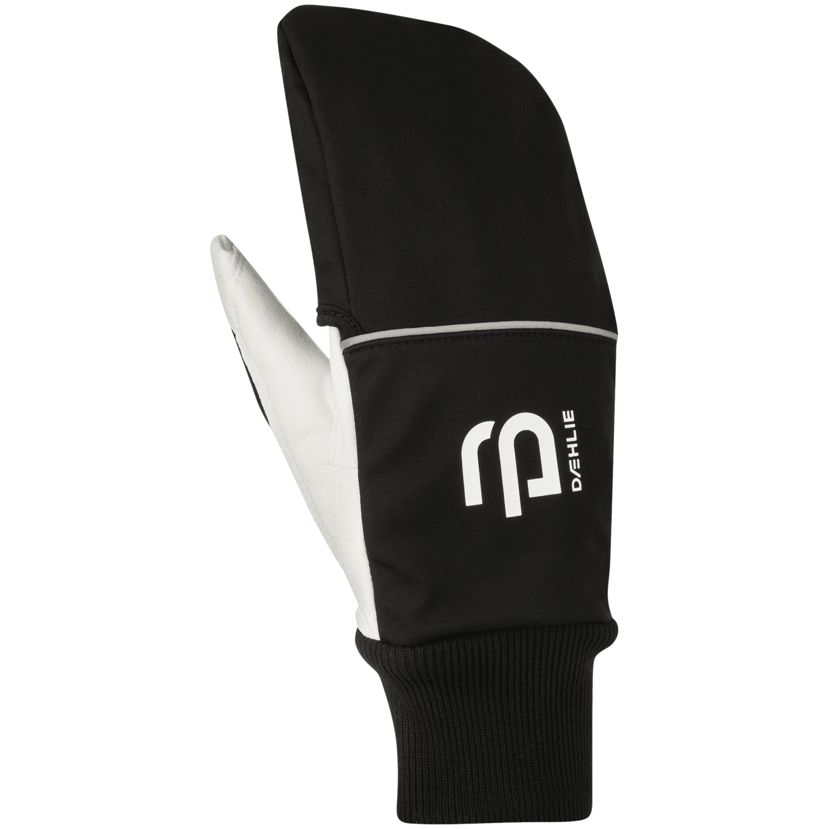 Bjorn Daehlie Daehlie Race Coverage Glove