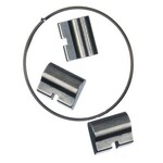 DT Swiss DT Swiss 3 Pawl System Replacement Pawls