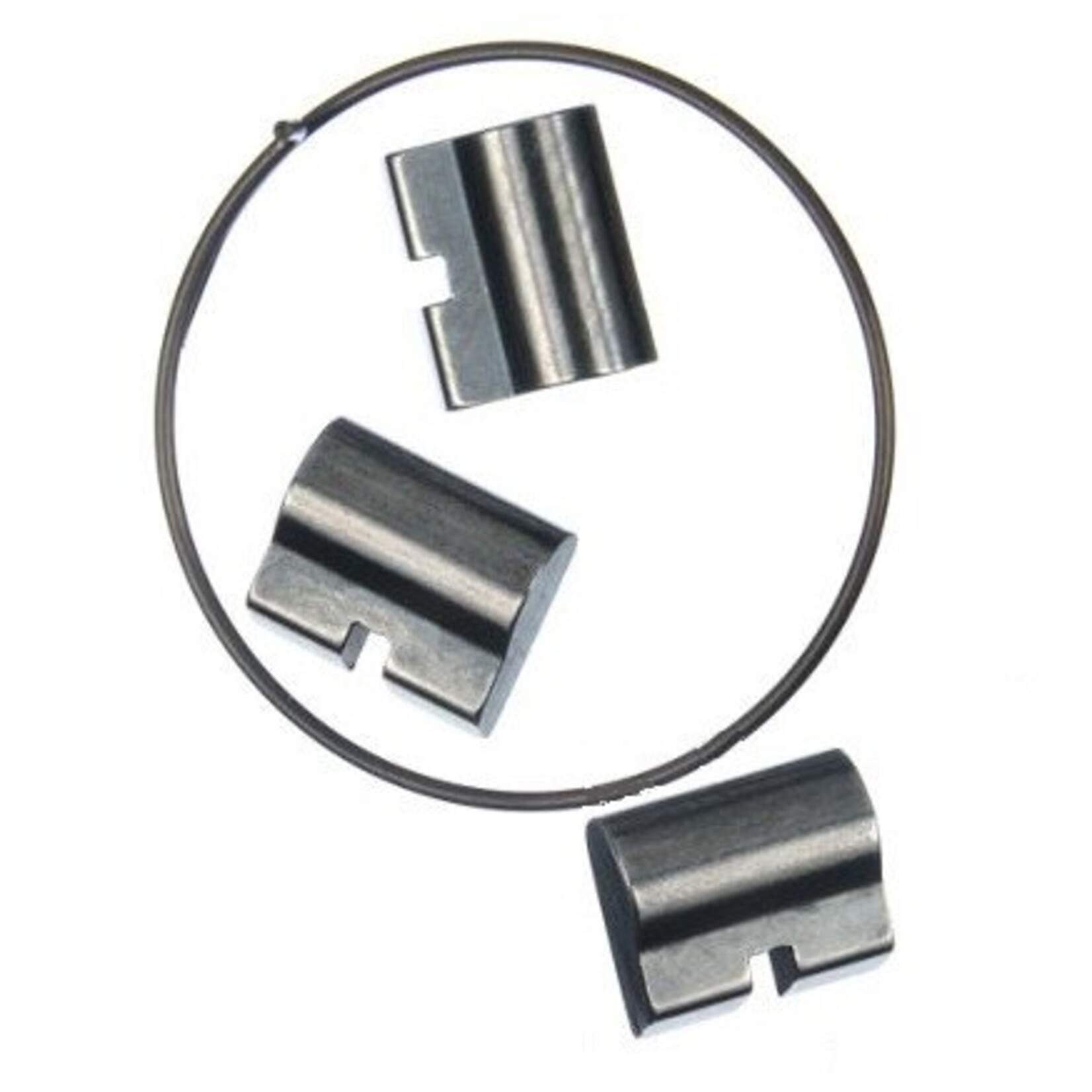 DT Swiss DT Swiss 3 Pawl System Replacement Pawls