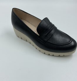 Wonders C33291