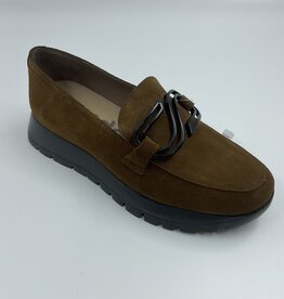 Wonders C-7221