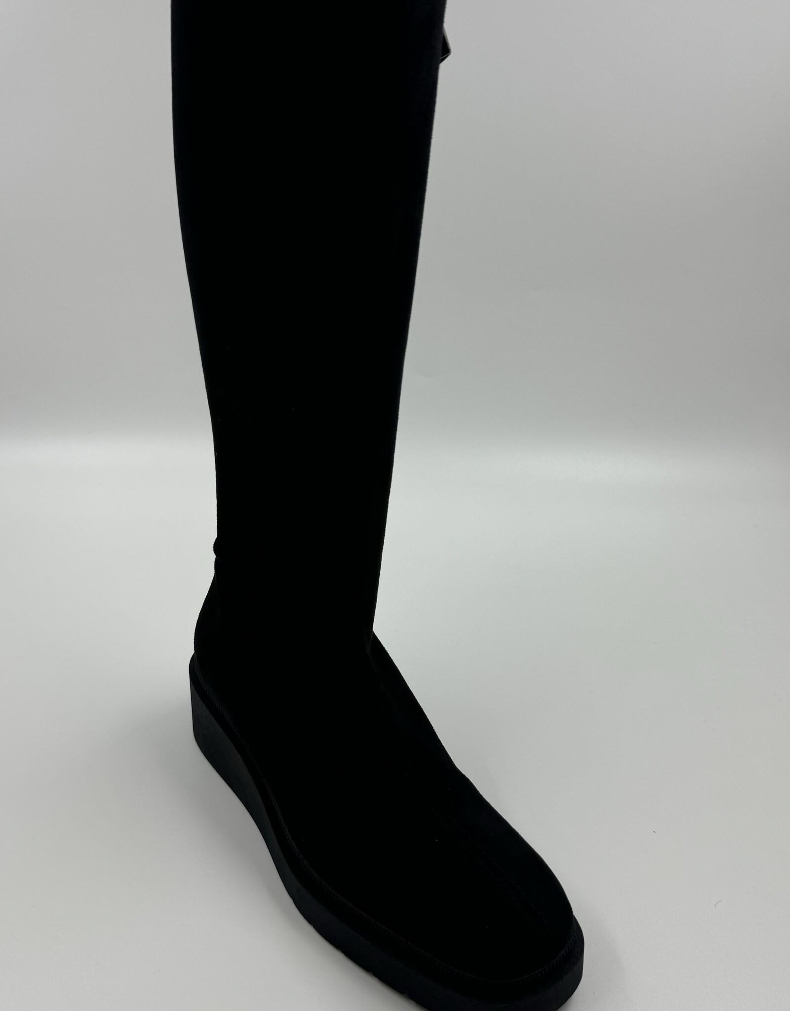 MISS ELASTIC 77360 MISS ELASTIC