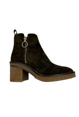 ALPE 2679 ALPE