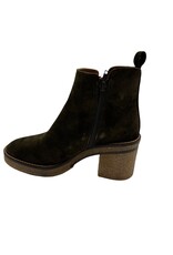 ALPE 2679 ALPE