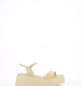 Wonders A-3701
