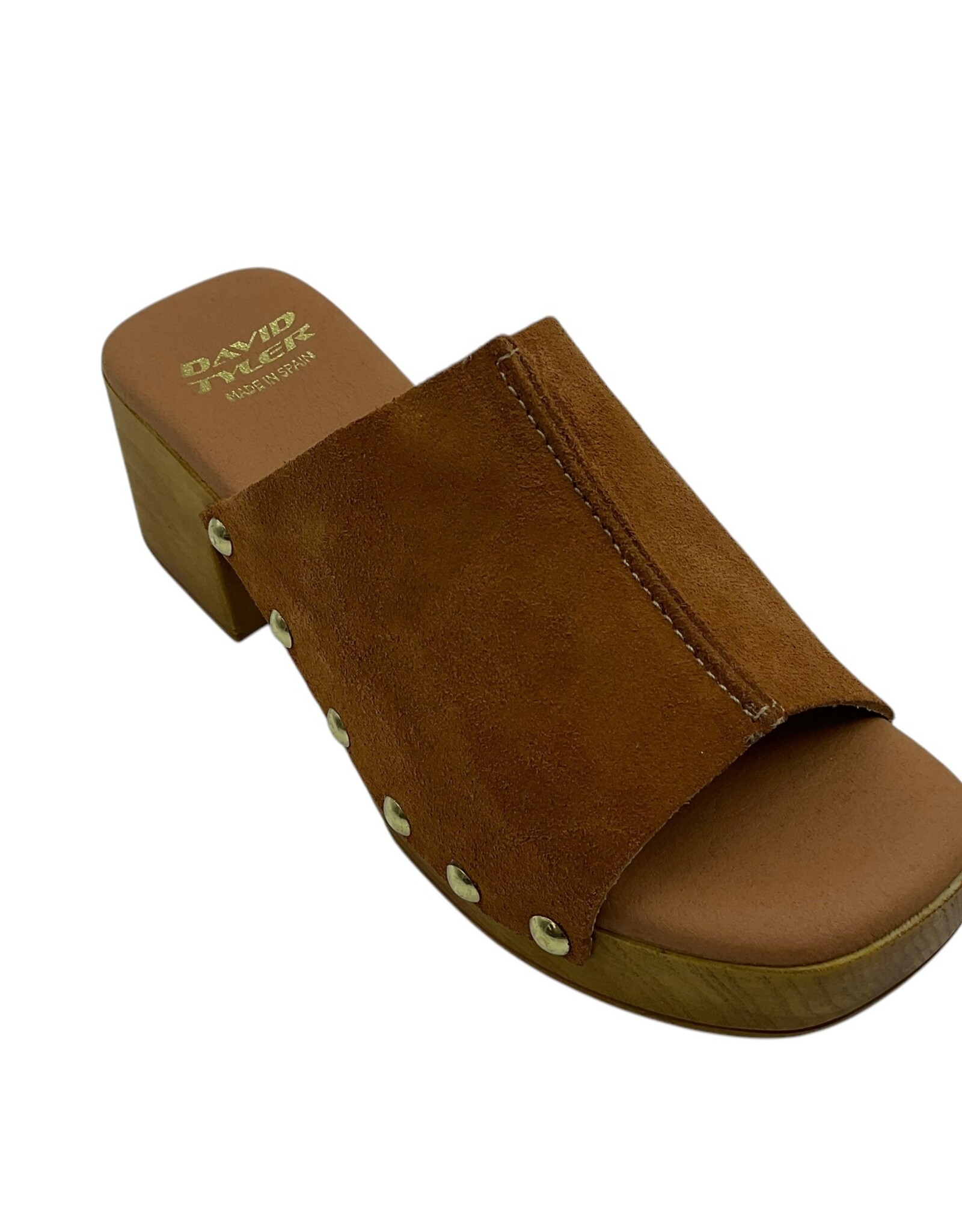 DAVID TYLER DARIA CLOG