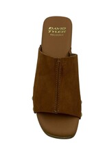 DAVID TYLER DARIA CLOG