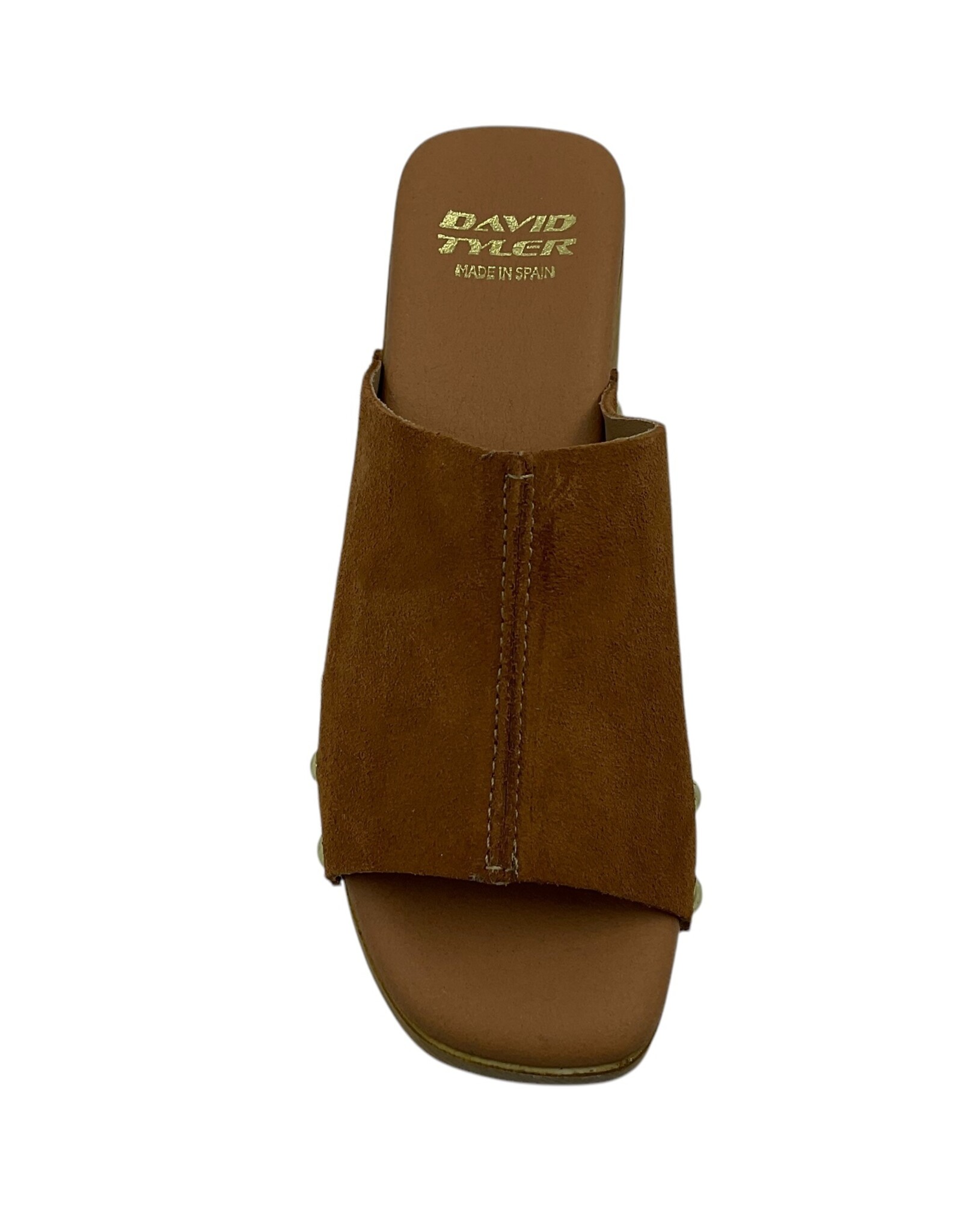 DAVID TYLER DARIA CLOG