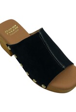 DAVID TYLER DARIA CLOG