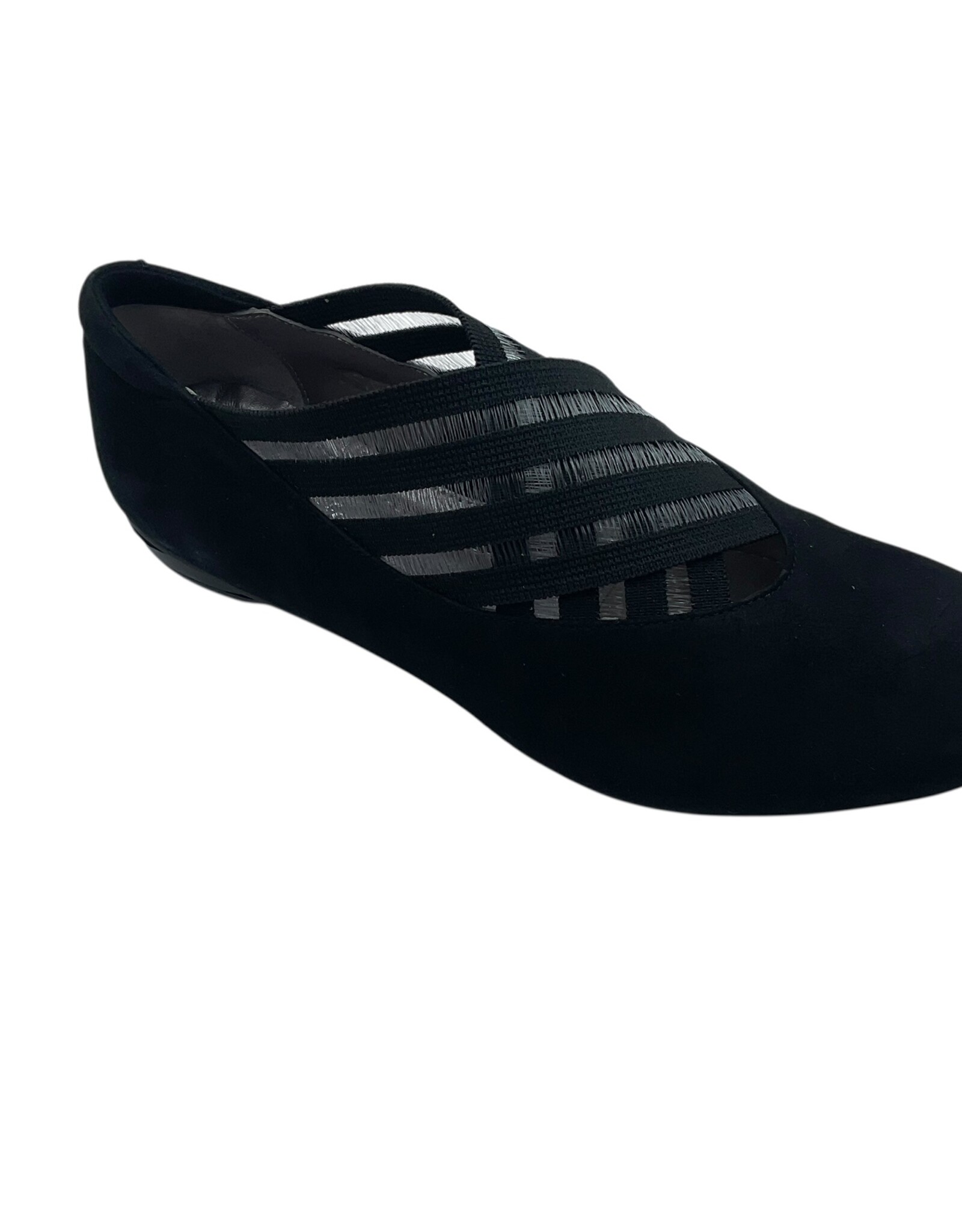 BELLA CAMELIA  20.03.10