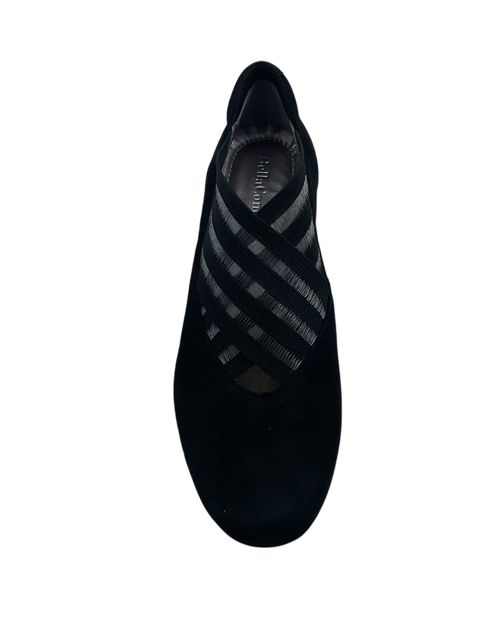 BELLA CAMELIA  20.03.10