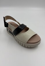 JOSE SAENZ 4206 JOSE SAENZ