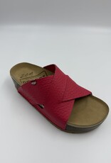 BAERCHI NAOSHIMA -1113