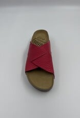 BAERCHI NAOSHIMA -1113