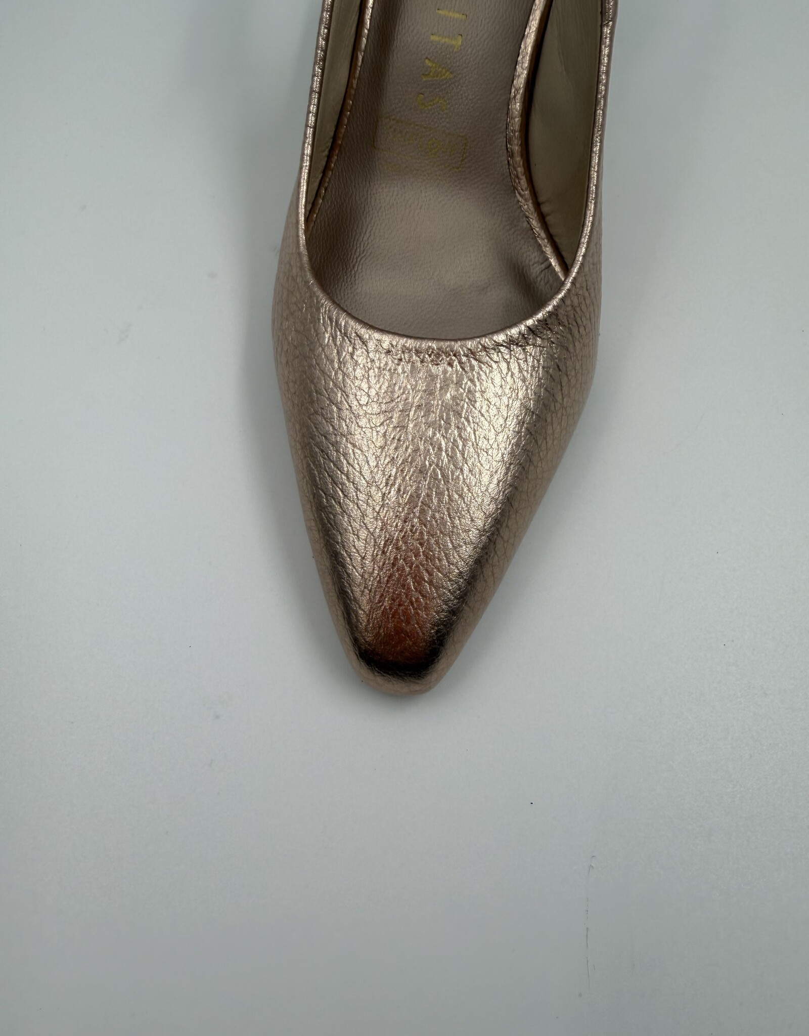 HISPANITAS DALIA HV262841