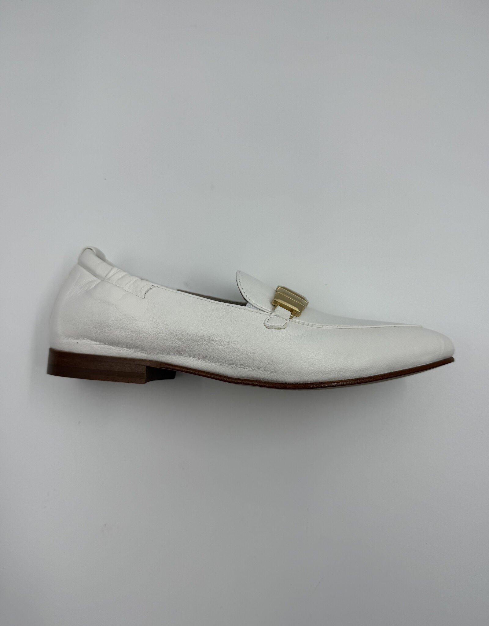 SOFTWAVES LEONOR 9.37.01