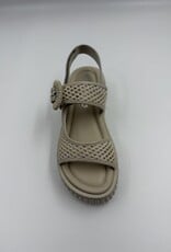 SOFTWAVES ARIES 9.44.01