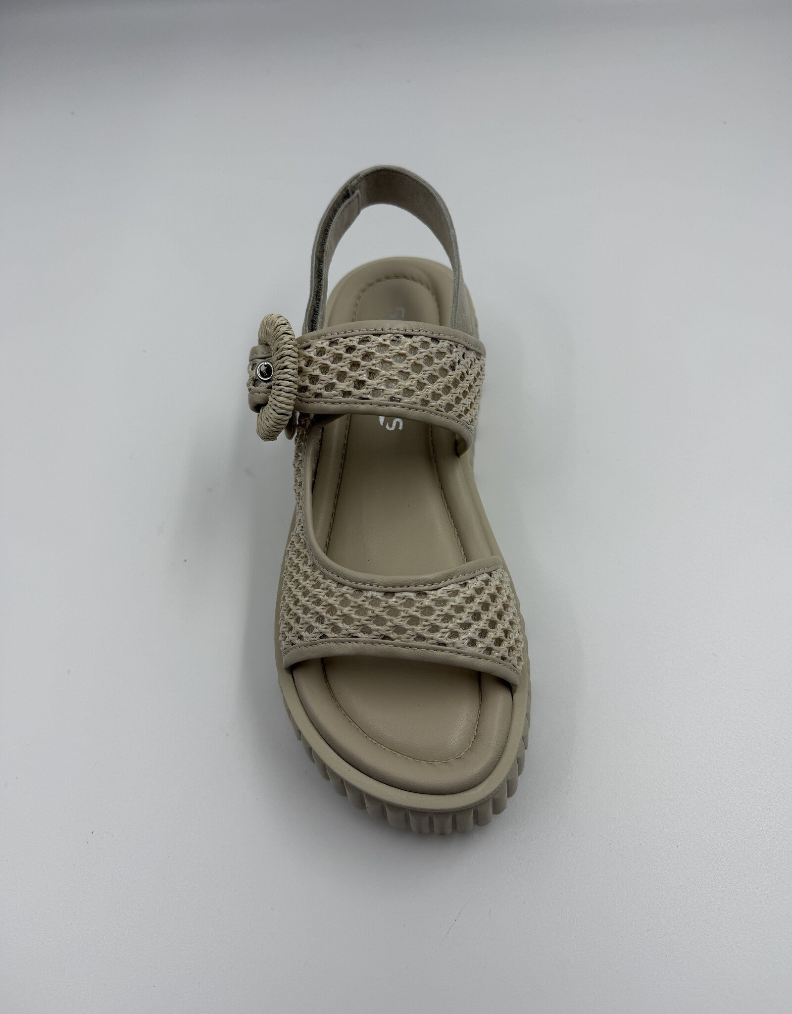 SOFTWAVES ARIES 9.44.01