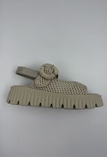 SOFTWAVES ARIES 9.44.01