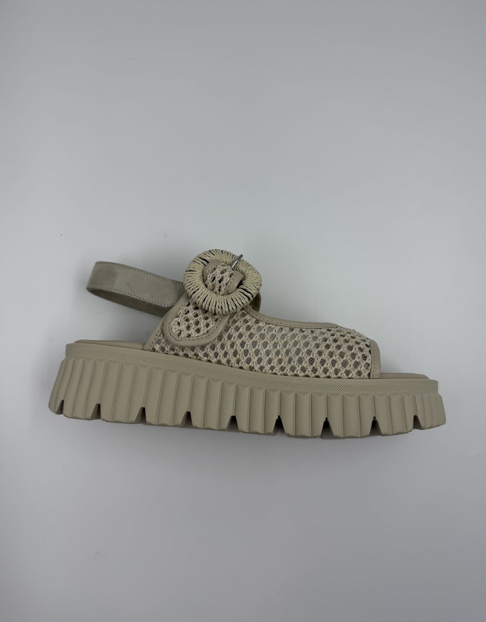 SOFTWAVES ARIES 9.44.01