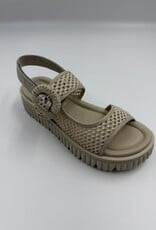 SOFTWAVES ARIES 9.44.01