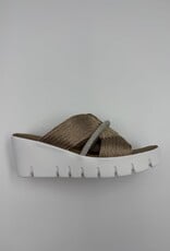 BERNIE MEV VENTI GALA