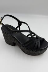 PEDRO M 15826 ALFA NEGRO