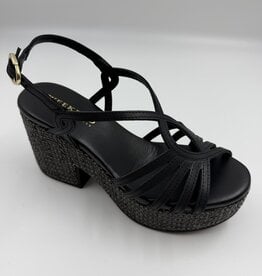 PEDRO M 15826 ALFA NEGRO