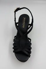 PEDRO M 15826 ALFA NEGRO