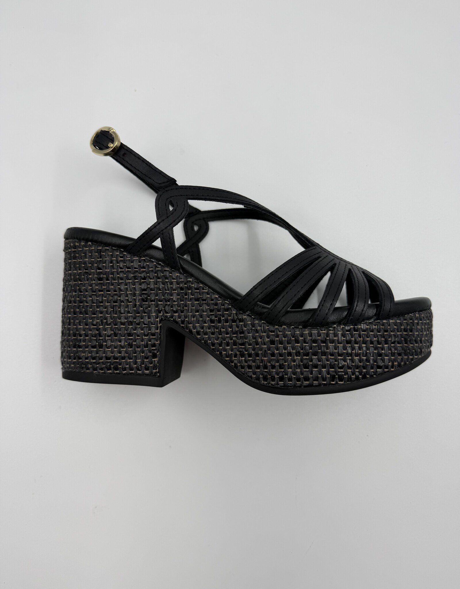 PEDRO M 15826 ALFA NEGRO